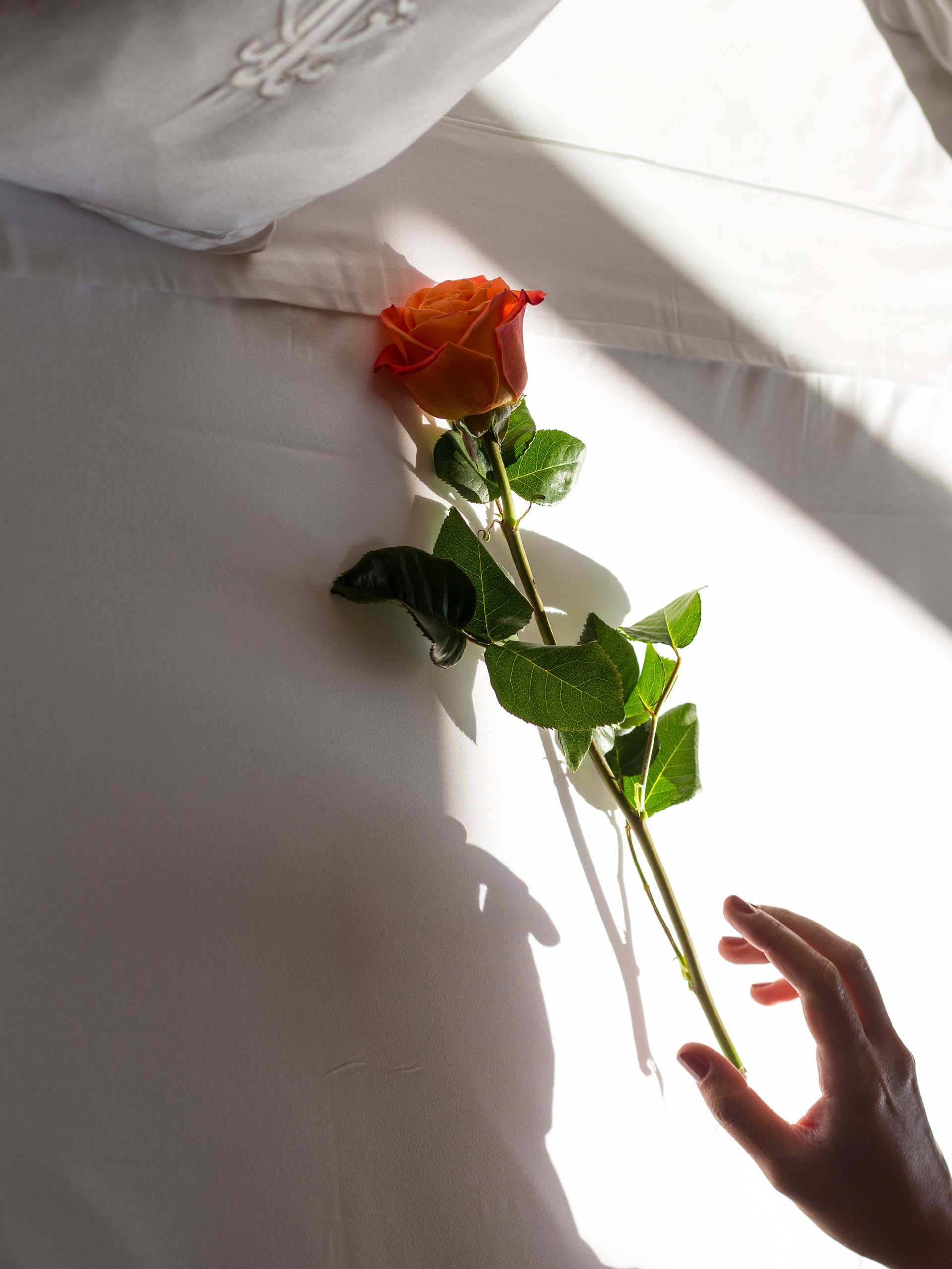 Grand Hotel Tremezzo MG 3419