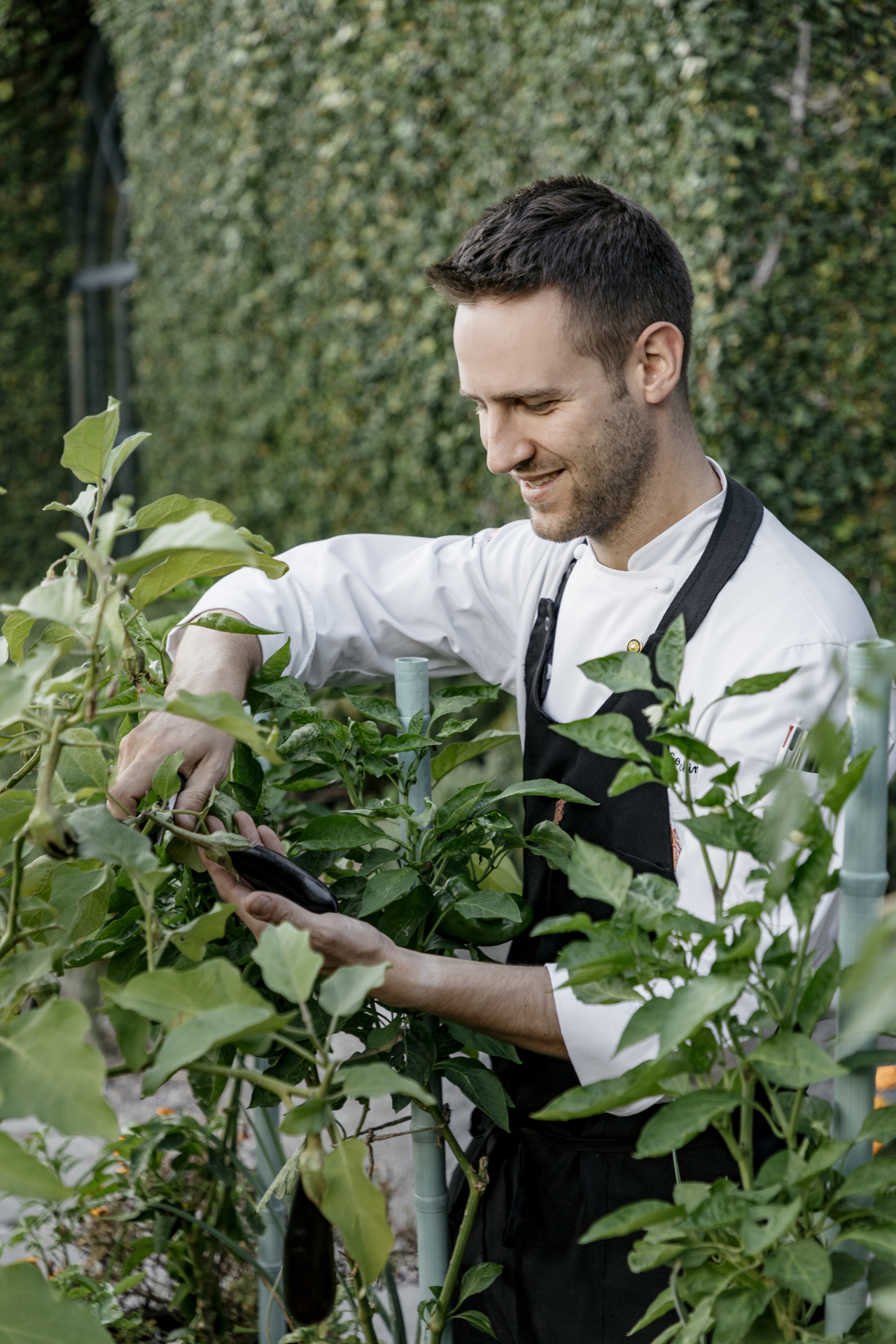 5 Sous Chef In The Garden