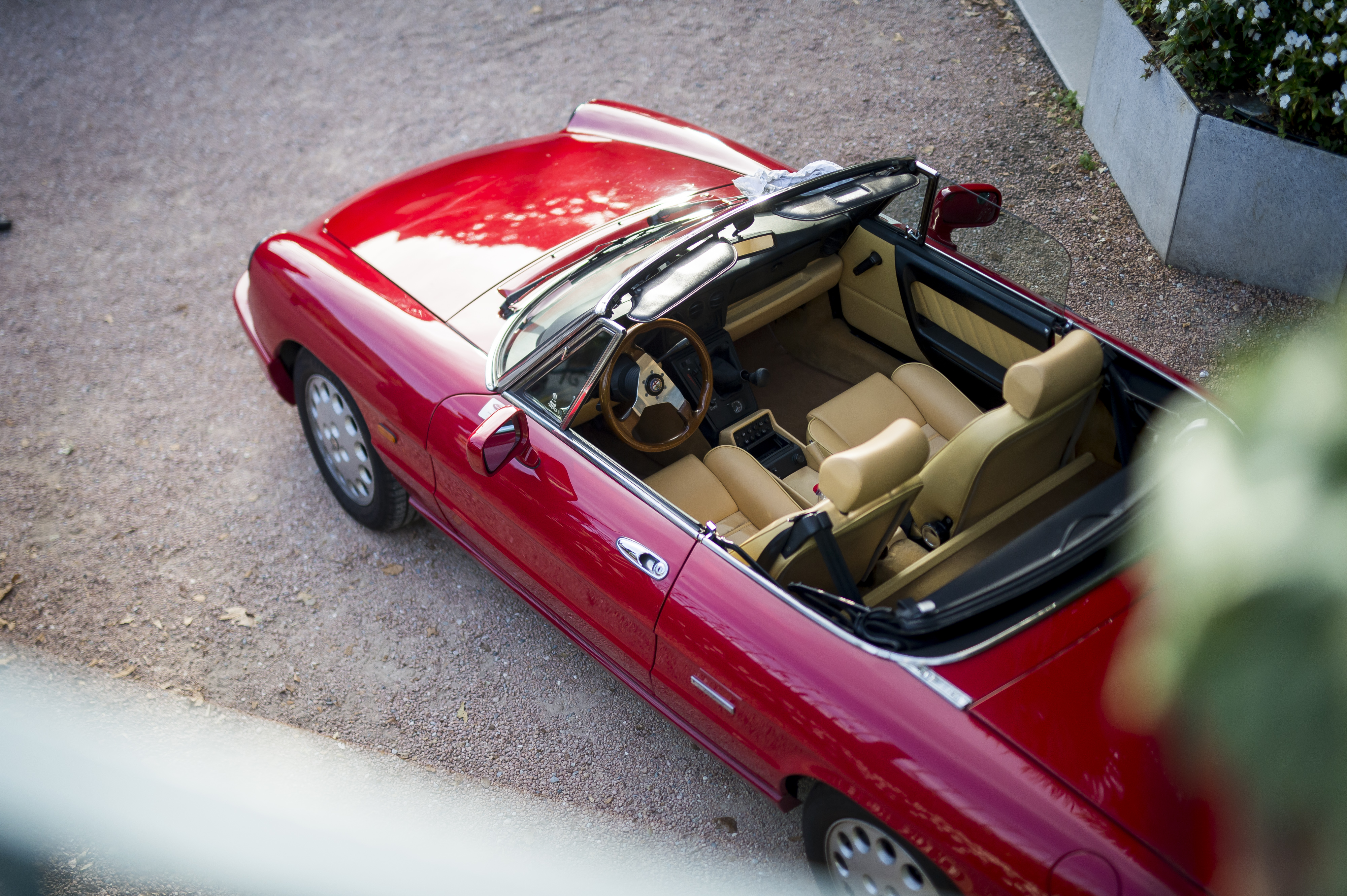 Alfa Romeo Duetto